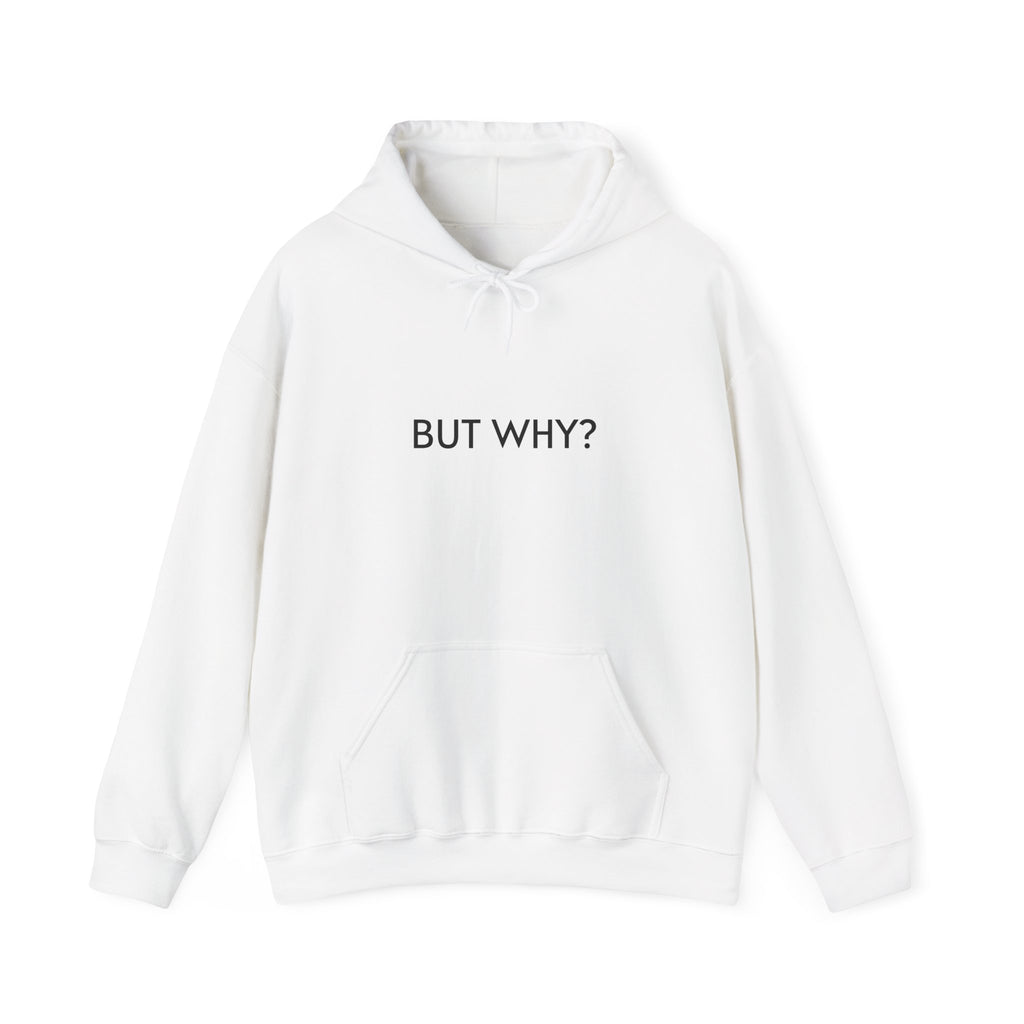 Hoodie — 'BUT WHY?'