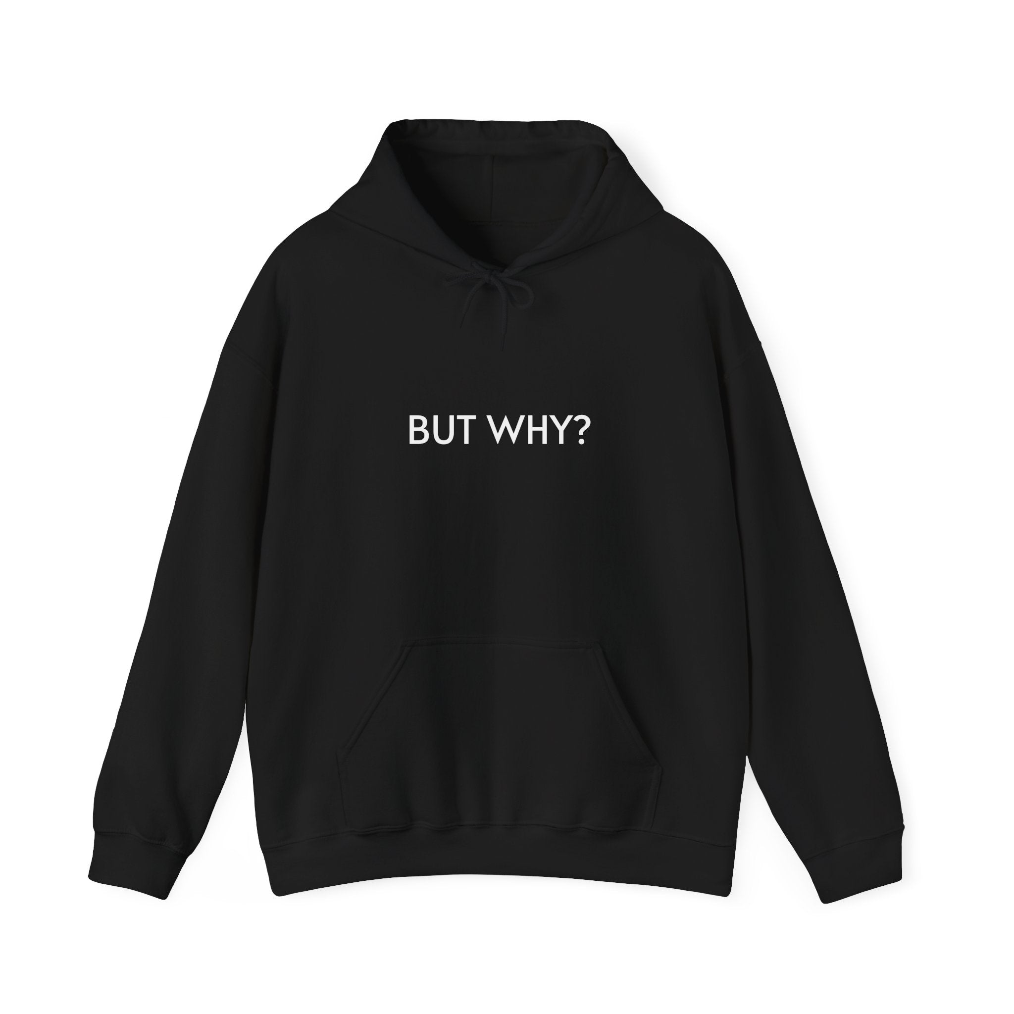 Hoodie — 'BUT WHY?'