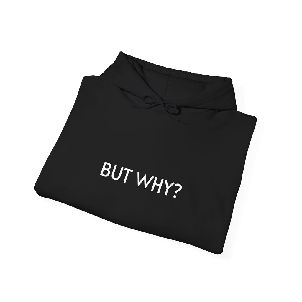 Hoodie — 'BUT WHY?'
