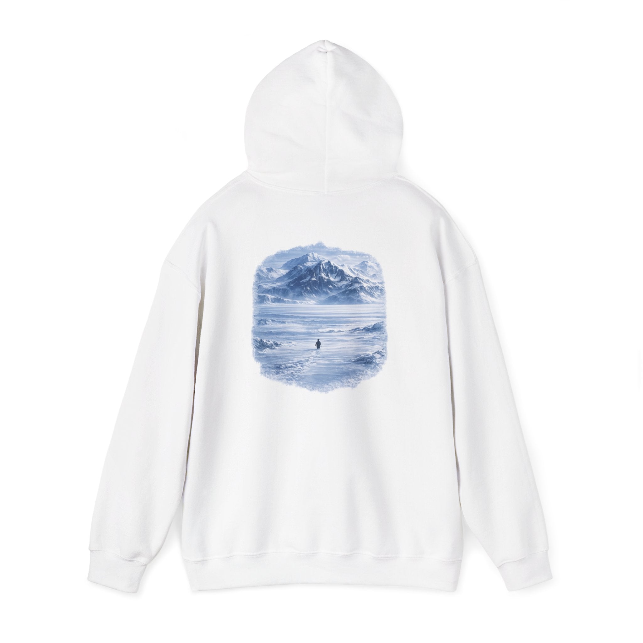 Hoodie — 'BUT WHY?'