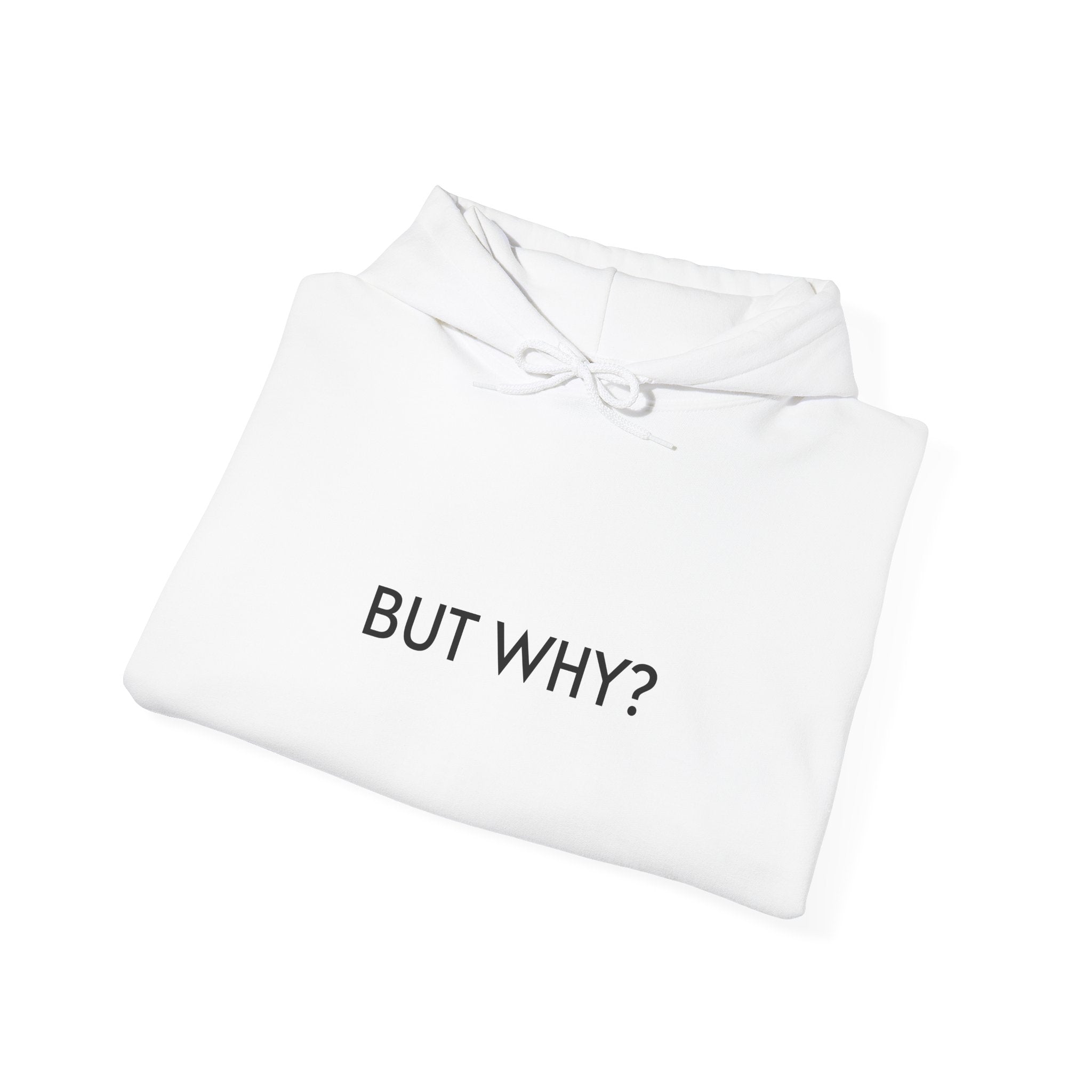 Hoodie — 'BUT WHY?'